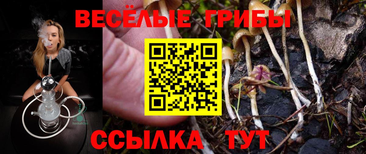 Белебей  Галлюциногенные грибы Magic Shrooms  Псилоцибиновые грибы MAGIC MUSHROOMS  Вход с VPN 